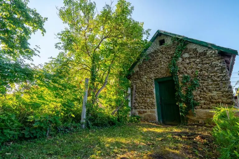 Budai mészkőből épült kis kápolna fák között